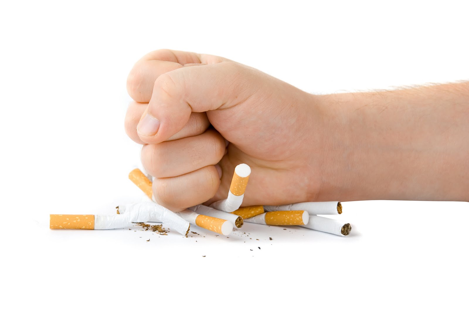 For healthy heart it is necessary to quit smoking || For healthy heart it is necessary to quit smoking