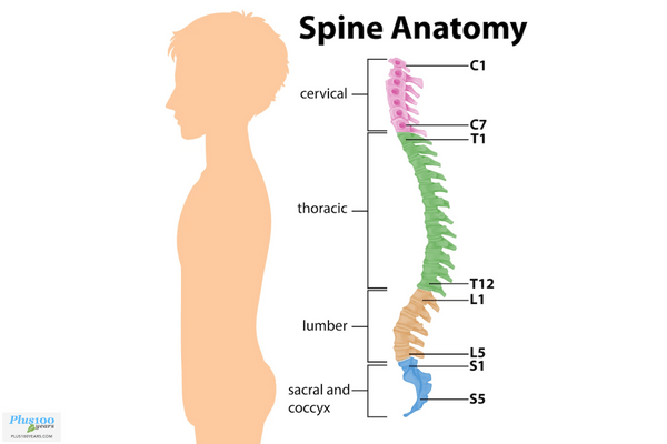 best ways to take care of your spine