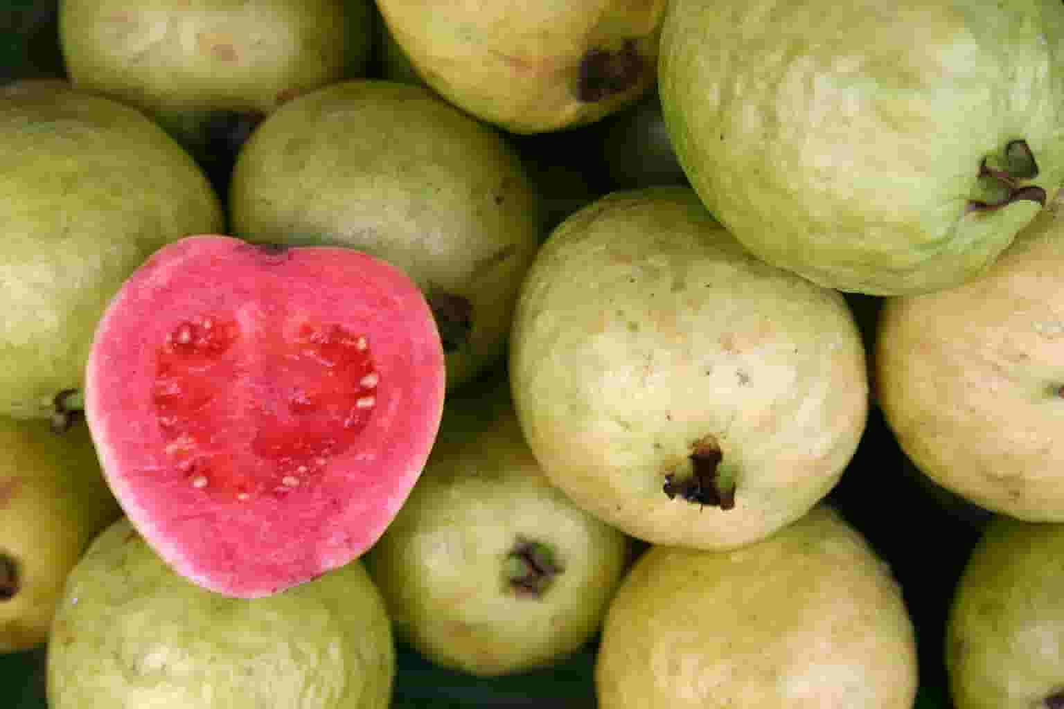 health-benefits-of-guava