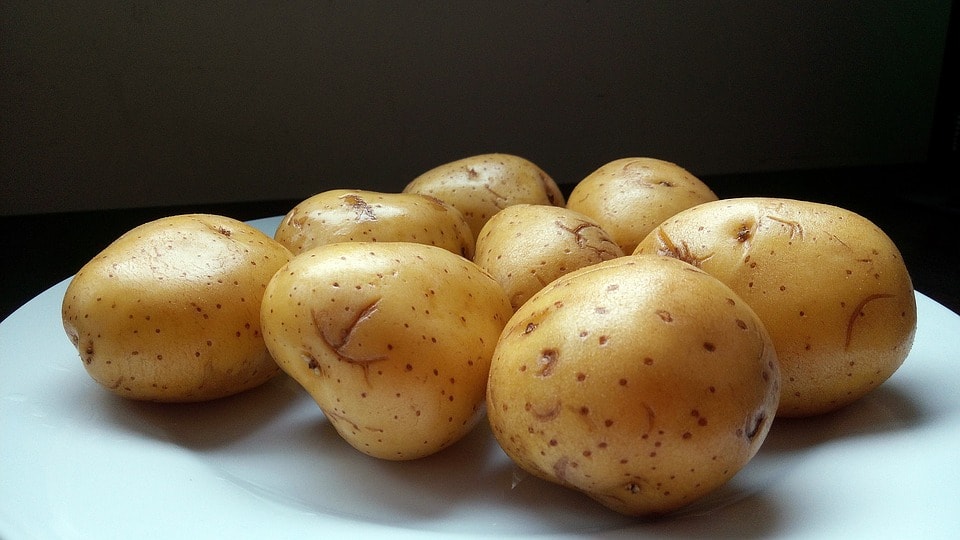 Eat boiled potatoes for weight loss