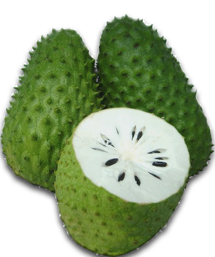 Laxman Phal or Graviola Fruit