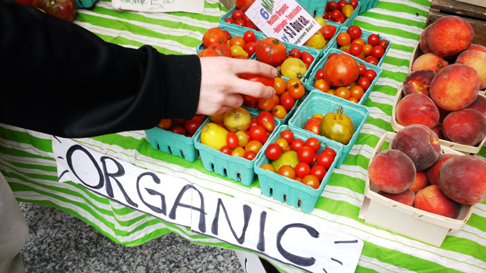 organic food