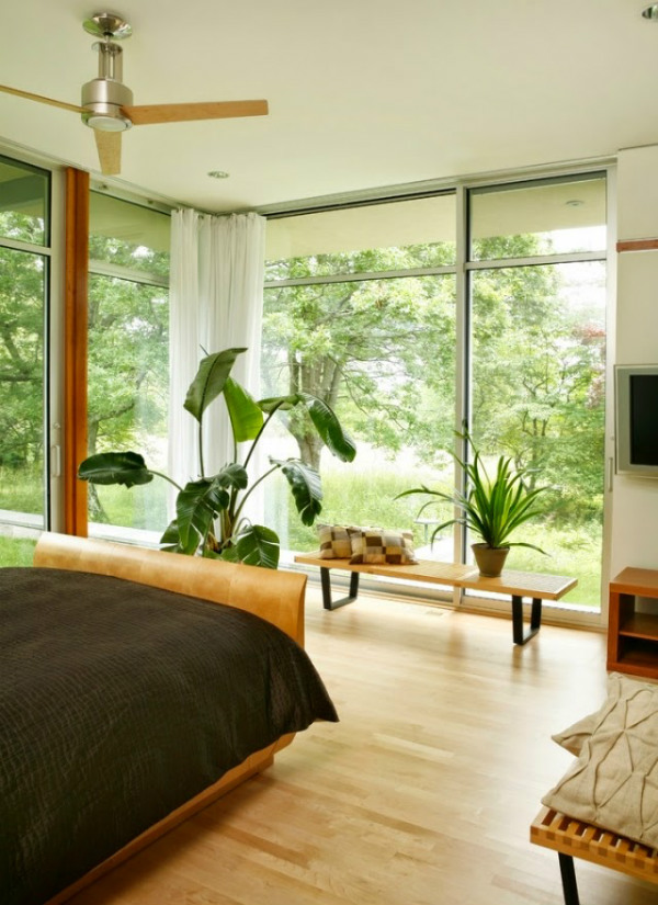 plants in bedroom