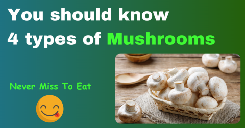 You should know  4 types of Mushrooms