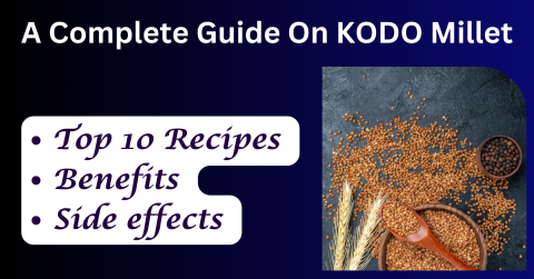 a complete guide on kodo millet 