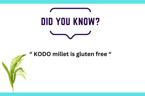 complete guide on KODO millet 