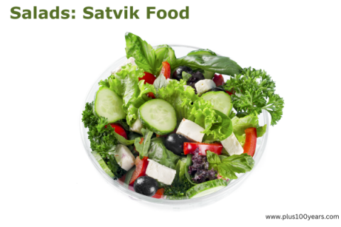 3 days satvik food menu 