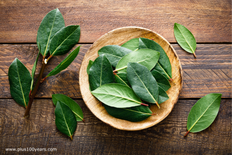 health benefits of bay leaves 