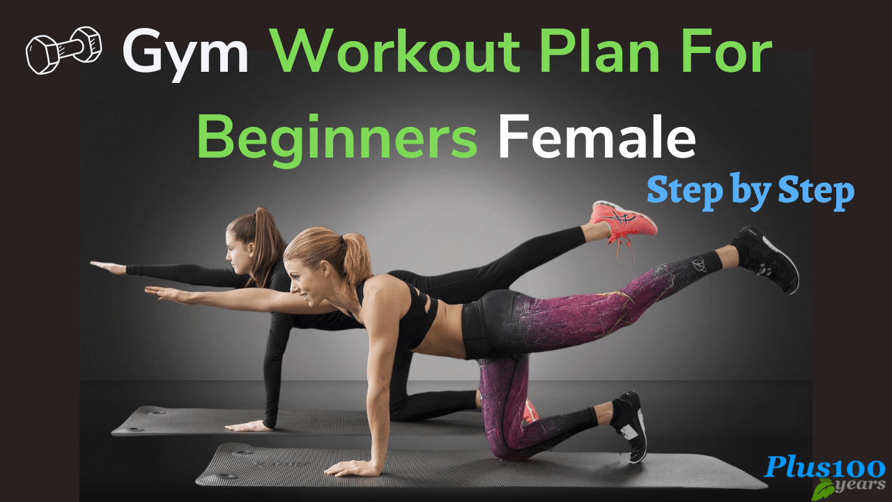 Workout Plan For Beginners Female