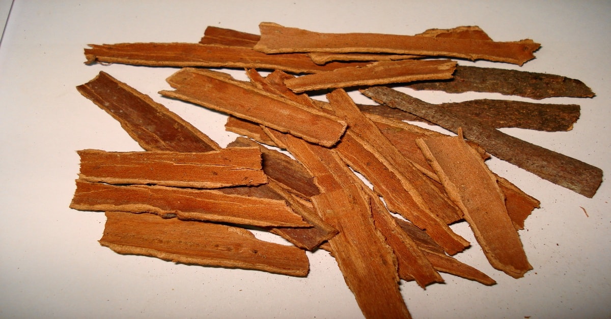 Medicinal Uses of Dalchini (Cinnamon)