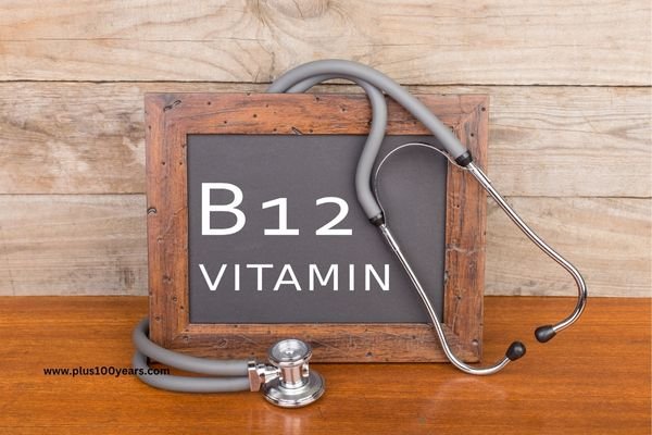 vitamin b 12 food sources 