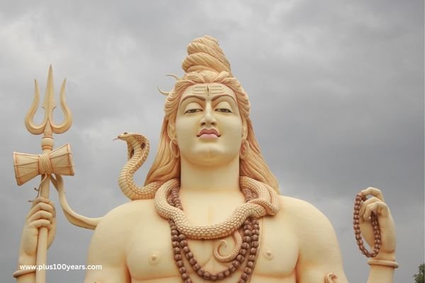 benefits of chanting sri rudram 