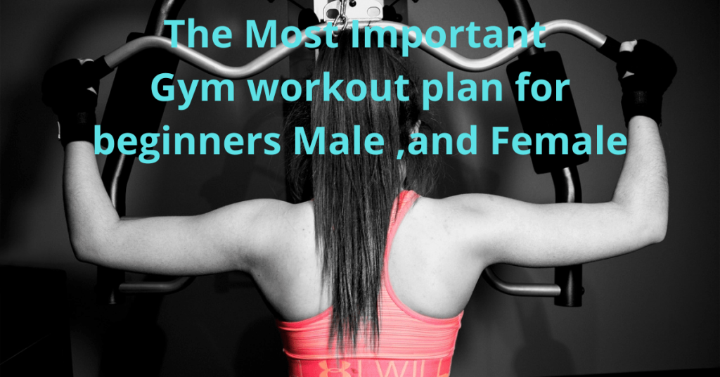 5 Gym And Workout Tips For All Beginners Should Know - Plus100years