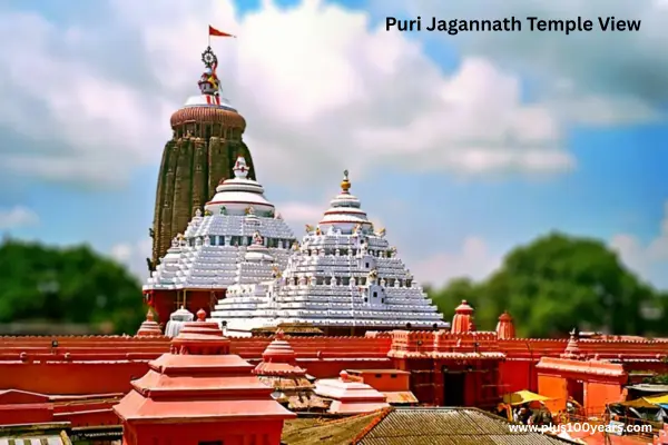 Puri Jagannath Temple View