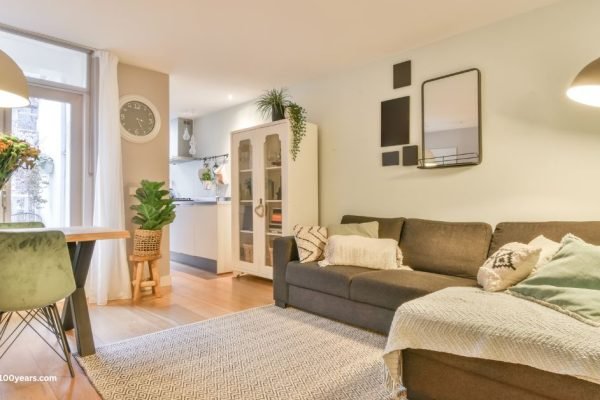 Home Hygiene Hacks: A Guide to a Cleaner, Healthier Lifestyle www.plus100years.com 1