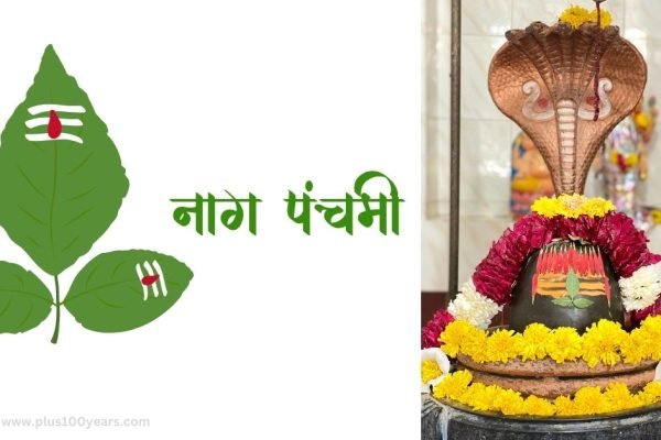 Must Do Things On Nagpanchami