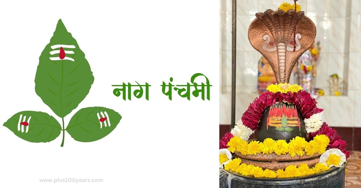 Must Do Things On Nagpanchami
