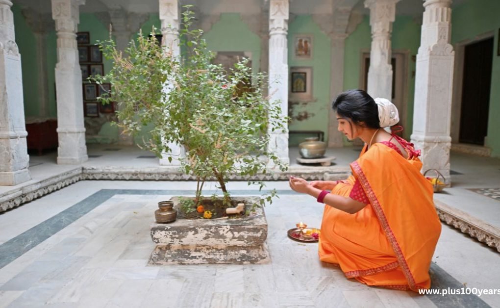 18 Amazing Tulsi Benefits - Know The Secrets