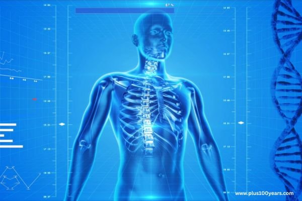 Discover How To Evaluate The Return On Investment Of Various Health Programs.