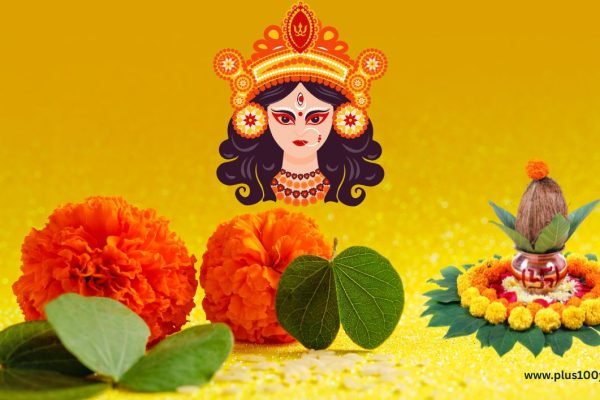 Navratri Days 5 Mistakes You Never Make