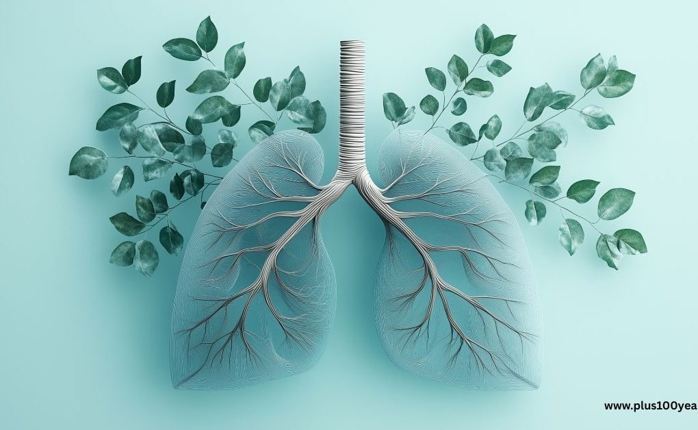 Winter Lung Care 7 Essential Tips for Healthy Breathing