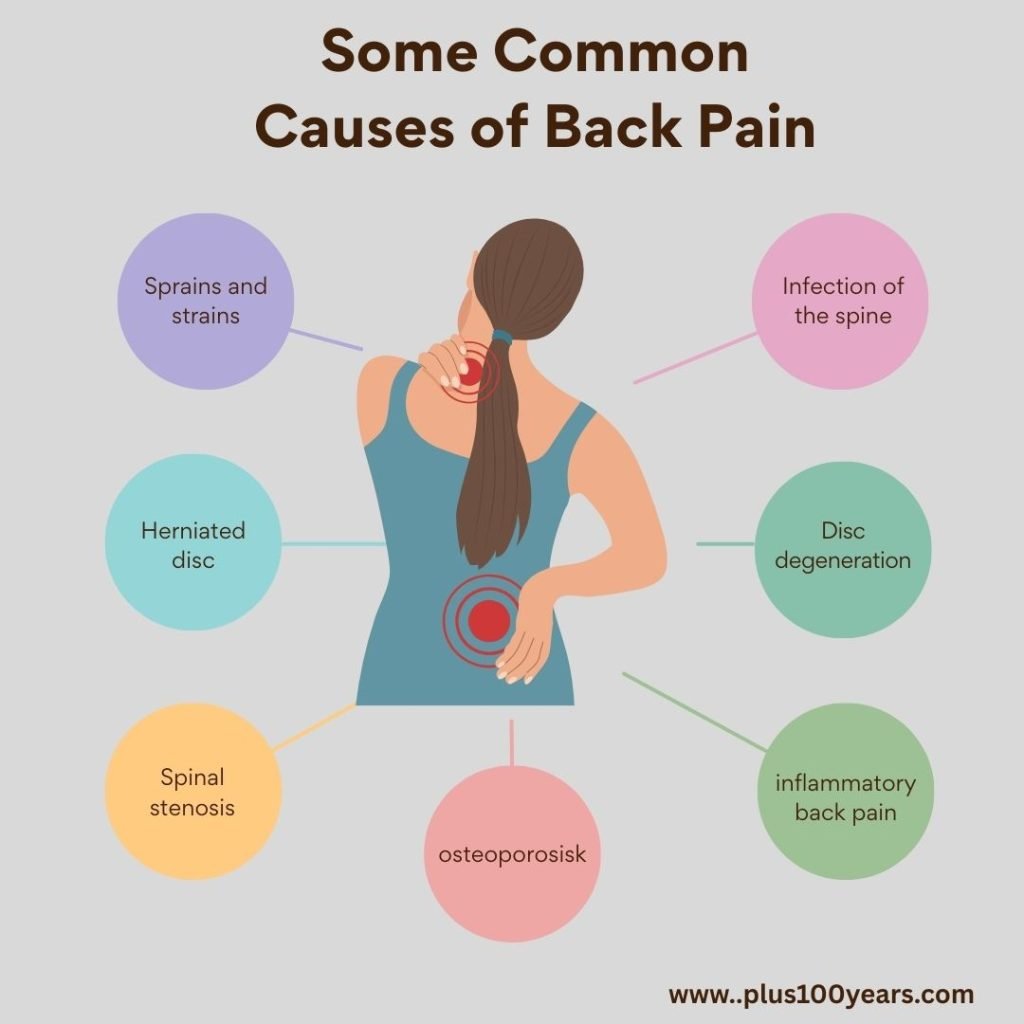 Why Lower Back Pain Happens