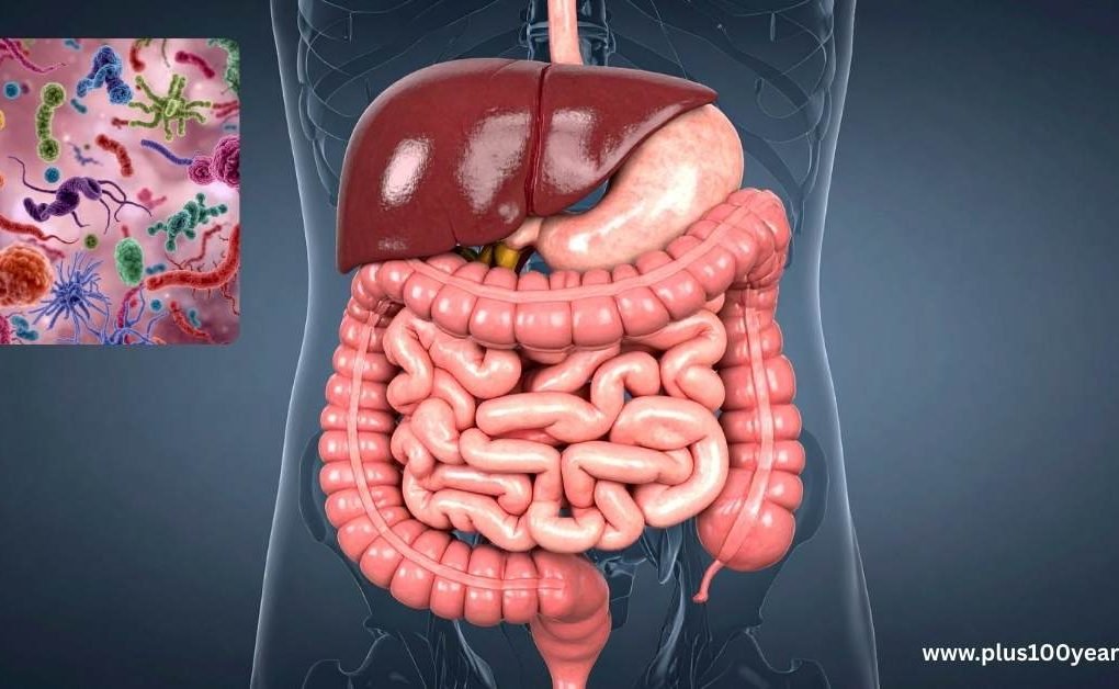 How Your Gut-Brain Axis Shapes Your Mood and Mind