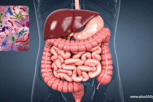 How Your Gut-Brain Axis Shapes Your Mood and Mind