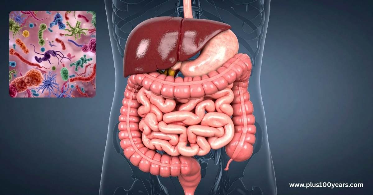 How Your Gut-Brain Axis Shapes Your Mood and Mind