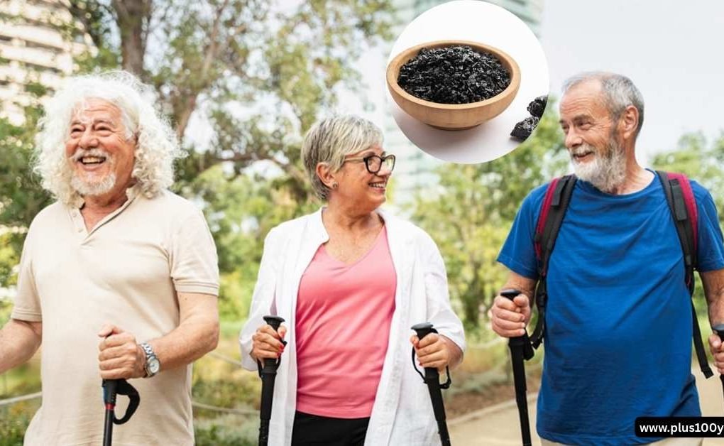 Why Is Shilajit Linked to Longevity