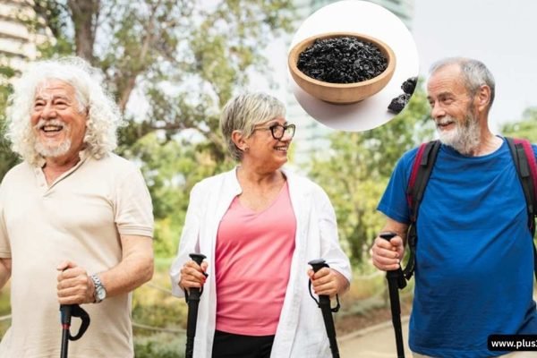 Why Is Shilajit Linked to Longevity