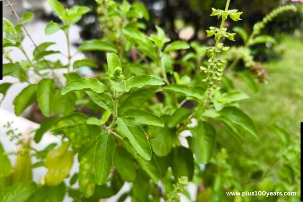 how to quit smoking naturally 