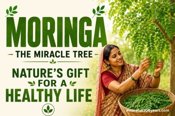 moringa for diabetes 