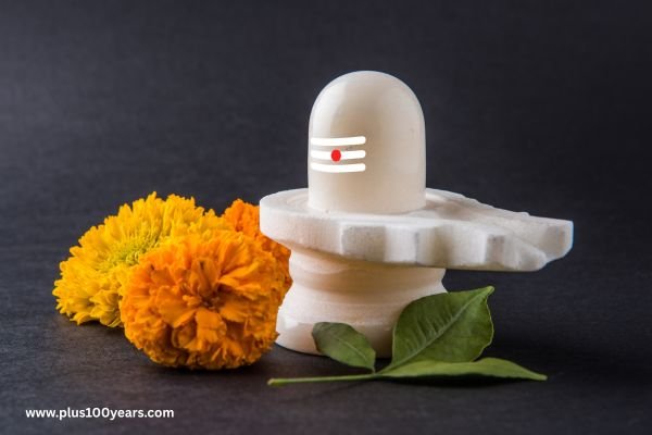 om namaha shivaya 