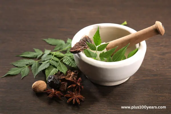 Ayurvedic Food for Disease Prevention and Longevity