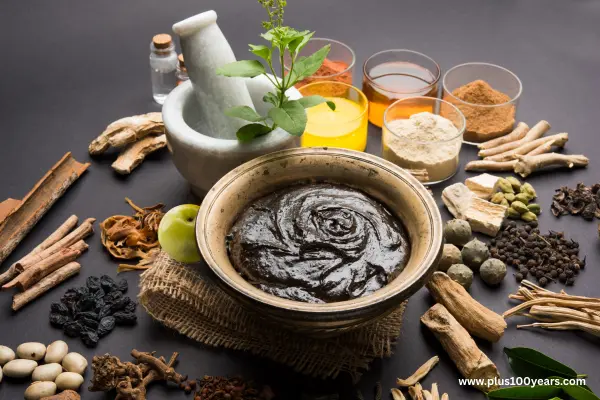 Why European Travellers Choose Kerala For Authentic Ayurveda Retreats &Amp; Wellness Experiences